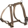 Adori Harnas Nylon Bruin – Hondenharnas – A 36-56 B 44-72×1.5 Cm