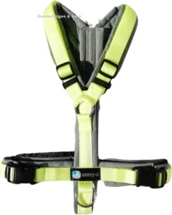 Annyx Hondentuig Limited Edition Maat M Grijs-lemon Geschikt Voor Borstomvang 62 Tot 74cm