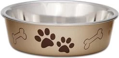 Honden Voerbak & Drinkbak – Vaatwasmachinebestendig, Met Antislip En Antibacteriële RVS Binnenzijde – Loving Pets Bella Bowl – 8 Kleuren In Small Tot Extra-Large – Kleur: Metallic Champagne, Maat: Extra Large – 2L