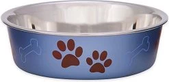 Honden Voerbak & Drinkbak – Vaatwasmachinebestendig, Met Antislip En Antibacteriële RVS Binnenzijde – Loving Pets Bella Bowl – 8 Kleuren In Small Tot Extra-Large – Kleur: Metallic Blueberry, Maat: Medium – 750ml