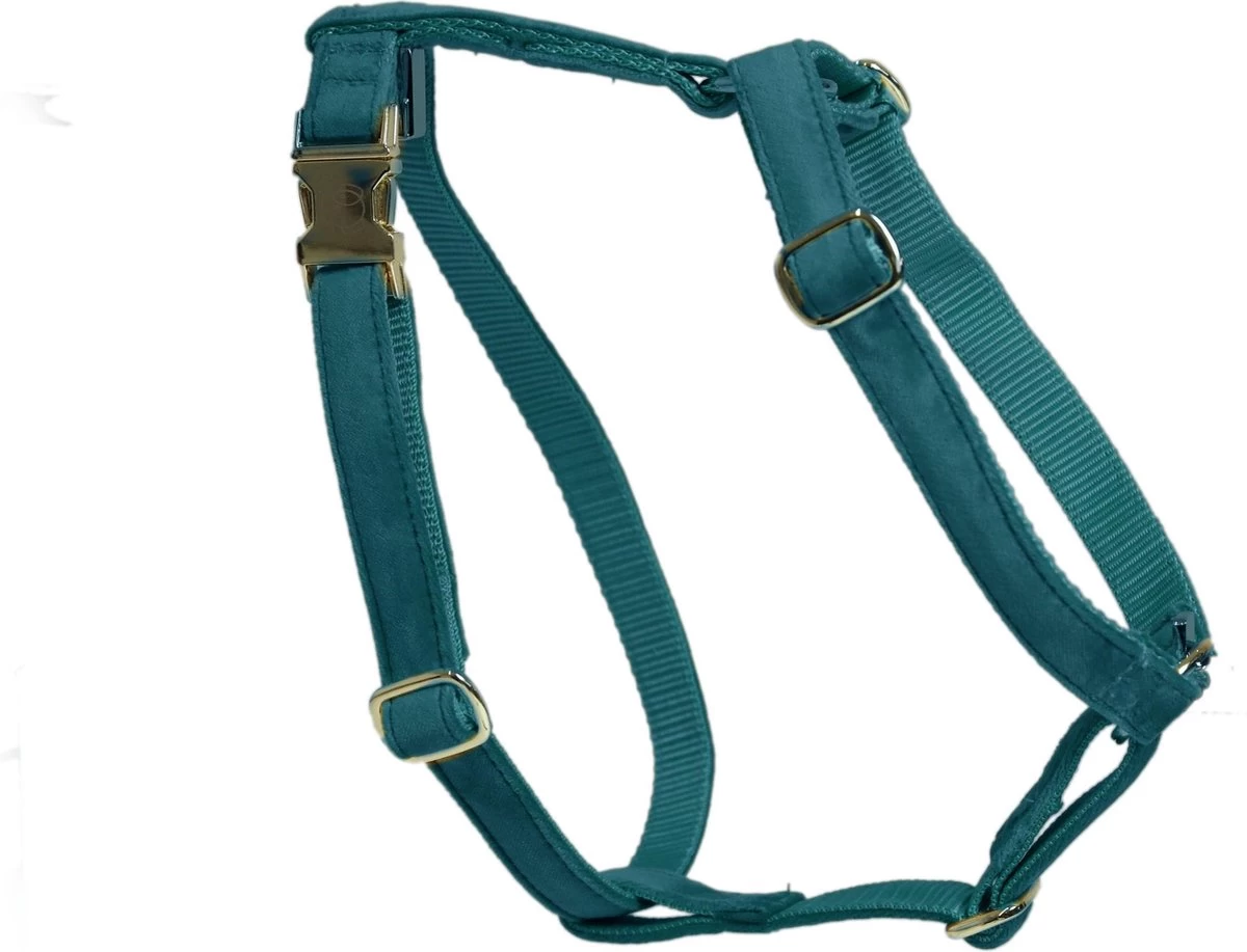 Kentucky Hondentuig Loop – Emerald L – 75-100cm