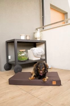 Melman Orthopedisch Hondenbed – L – Bruin – Codura – Orthopedische Hondenmand – Orthopedisch Benchkussen