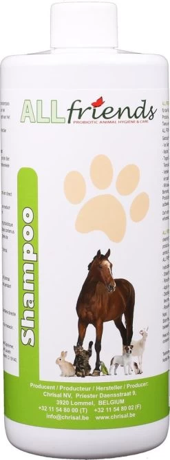 Probilife – Probiotische Shampoo Voor Paarden – Voor Een Gezonde Vacht – 500 Ml Met Pomp