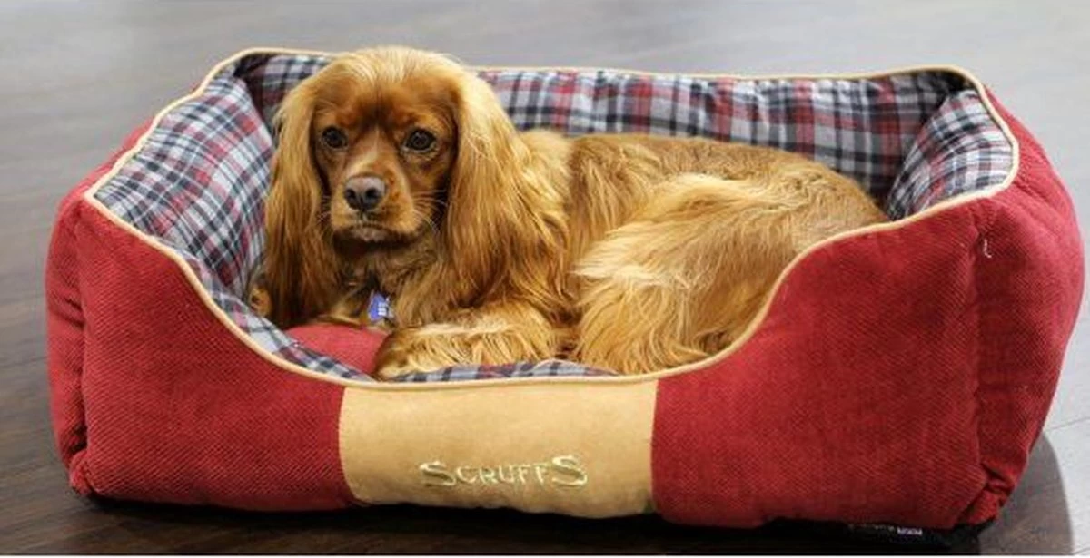 Scruffs Highland Box Bed – Stevige Hondenmand Van Hoogwaardige Chenille Stof Met Anti-slip Onderzijde – Kleur: Rood, Maat: Small